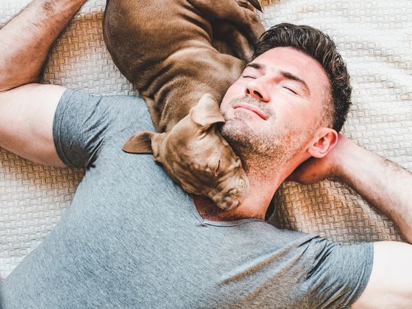 Top 10 Pet Sleeping Positions and What They Mean