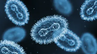 Mpox Isn’t Over: What Chicago and California’s Latest Outbreaks Mean for Queer Communities in 2025